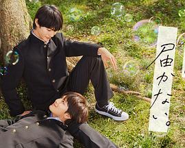 三门峡seo优化教程